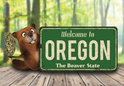 Oregon beaver